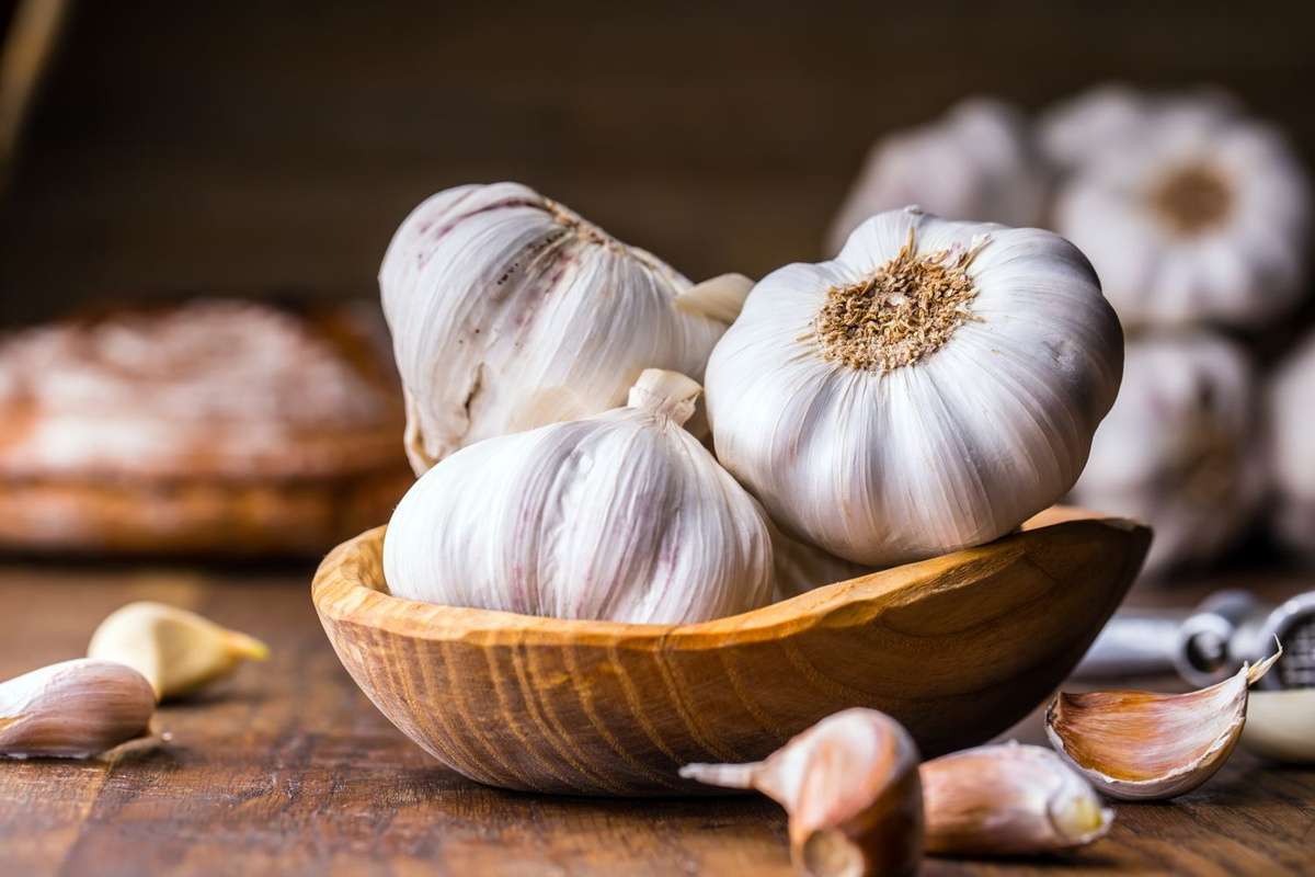 Whole garlic bulbs in a wooden bowl with loose cloves on a wooden table