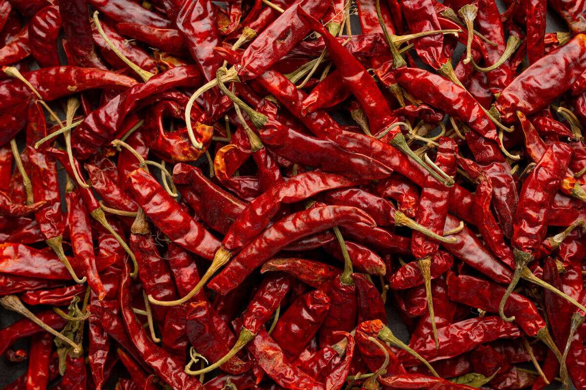 Dried red chillies with stems packed tightly across the frame