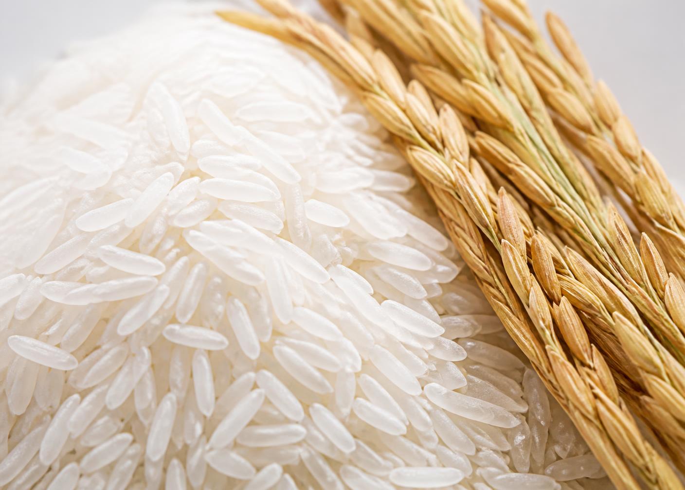 Macro photograph of long, clean white rice grains