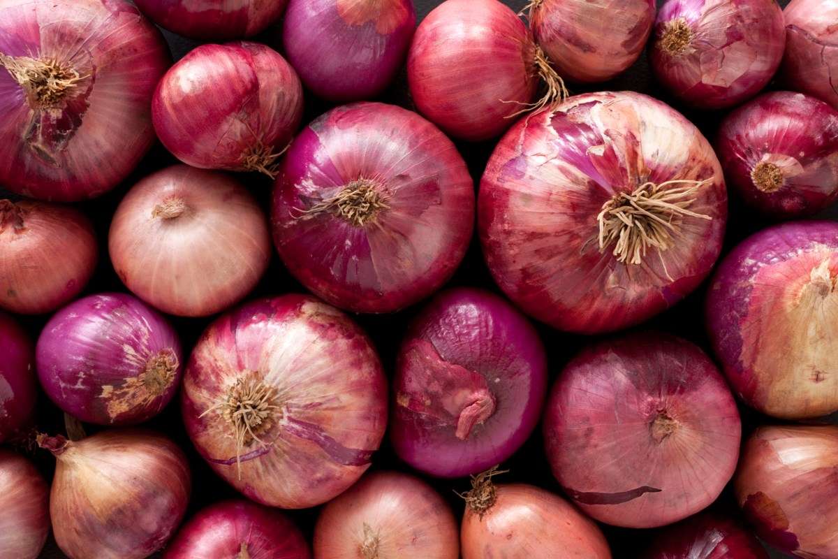 Fresh red onions packed closely together seen from above
