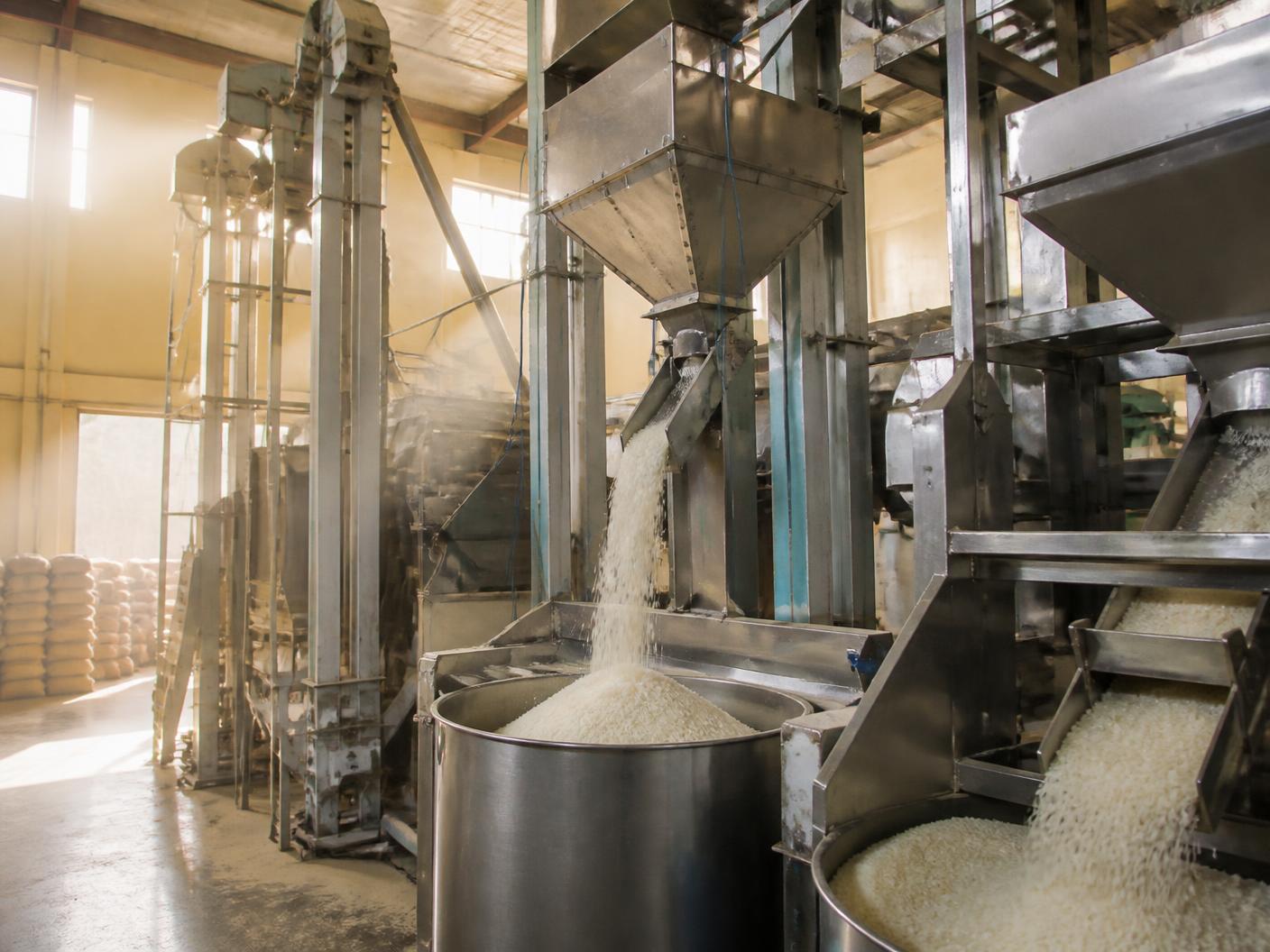 Rice flowing through milling machinery inside a daylit processing unit